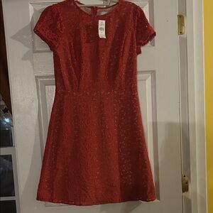 LOFT Scarlet Lace Dress